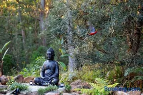Dorrigo Bush Pepper Retreat - Image 3