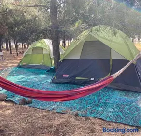 Yurt - Image 1
