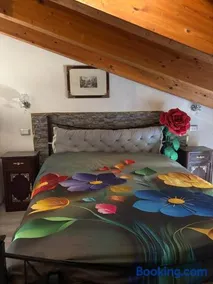 Casa Lady - Image 2