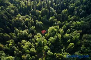 Gozdna koča Studeno - Image 2