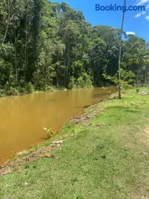 Linda Casa de Campo Lago & Mata em Araguaia - Image 5