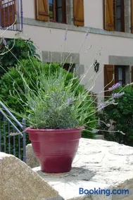 La Sabotiere - Image 4