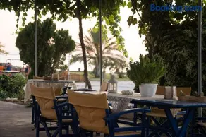 Palm Tree Apartments - Image 3