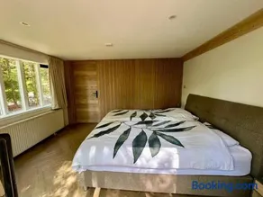 Kindvriendelijk sfeervol vakantiehuis Bosgeneugte bij zwembad op de Veluwe - Image 2