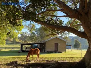 Stay at the Barn... Immerse yourself in nature. - Image 1