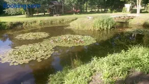 Dižāpas - Image 1