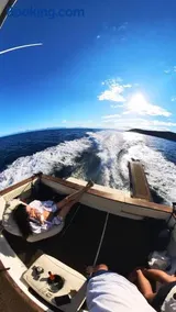 Our Cruises - Image 4