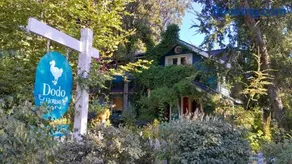 Dodo House Bed & Breakfast - Image 1