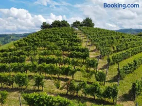 Il Girasole Apartments - Langhe - Image 2