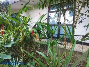 Ceylon Ramble Villa - Image 2