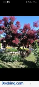 Kuća na dan Villa Holiday - Image 3