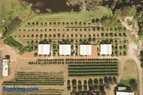 Swan Valley Sisters - Image 1