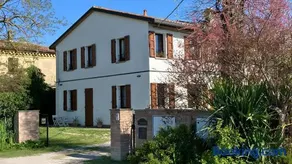 I gatti e la Volpe B&B - Image 1