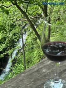 Waterfall Overlook at Bearfoot Falls - Image 3