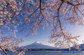 Daikokuya Mt.Fuji - Image 1