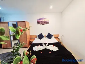 Pensiunea Red Rose Apartments - Image 3