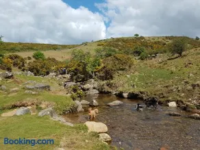 Buttercups Lodge - Image 3