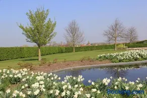 B&B De Luyckhoek - Image 2