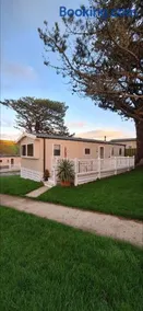 The Pad Newquay pet friendly - Image 2