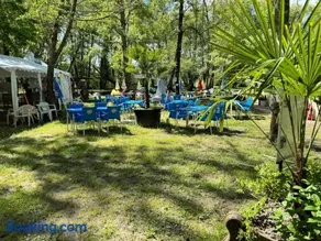 Camping 3 étoiles - Piscine - ccbfifi - Image 3