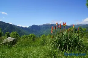 Chalets "les gentianes" - Image 1