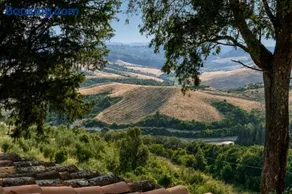 Incanto Toscano a Castelfalfi - Image 2