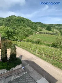 Residenza Viti del Durello Locazione turistica - Image 3