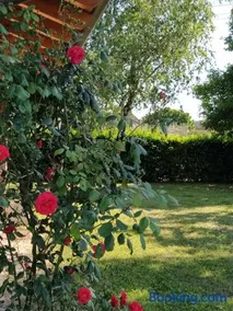 Il Casale dell'Airone - Image 3