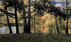 Happy Place - Image 4