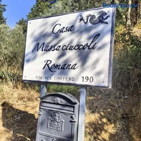 Massaciuccoli Romana - Image 2
