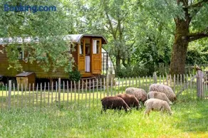 Les insolites de la Ferme de Froidefontaine - Image 5