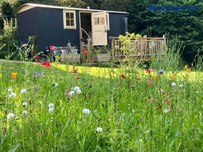 annes hatch hut - Image 2