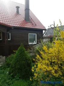 Kapas - Image 1