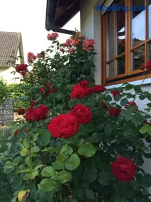 Ferienwohnung Störblick Schwerin - Image 3