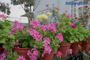 Anita's Home - Image 1