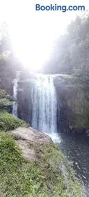 Chalé Hortelã - Cachoeira São Bernardo - Image 3