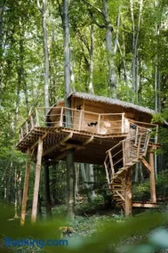 Treehouse Trenčianske Teplice - Image 2