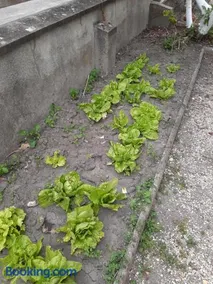 La petite escale - Image 5