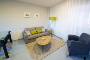 Desafios da Horta - Image 5