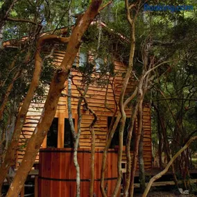 Entre arrayanes lodge - Image 4