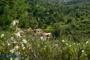 Terra das Delicias - Image 3