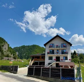 Casa Ioana și Florin - Image 1
