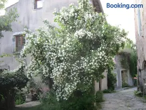 Chez Marjolaine - Image 2