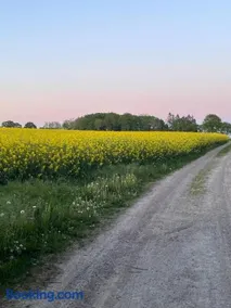 Råådalen Gård & Trädgård - Image 5