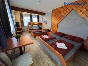 Austria Traveller Hotel Lenzing - Image 3
