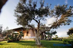 Holiday Home Nicola Santoro - Image 5