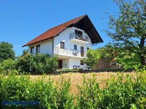 Vineyard Apartments near Rajhenburg Castle - Image 1