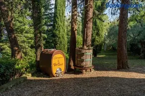 Arezzo - Il Rifugio nel Bosco - Image 2