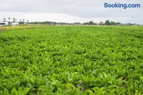De Keet op een boerencamping - Image 3