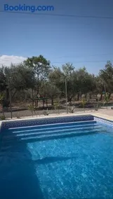 Oasis Pool in the Desert BBQ and Garden - Image 5